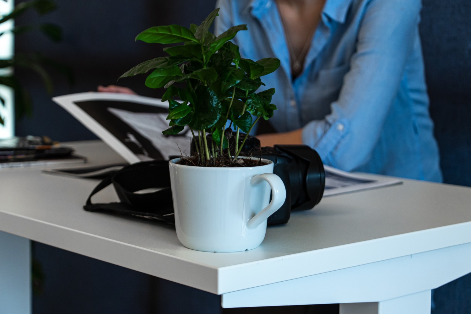 Lavoro Mini Sit Stand Electric Desk MINI-Config MINI-Config