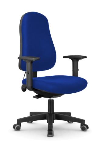 Robin Posture Chair Blue