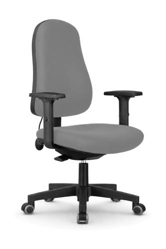 Robin Posture Chair Light Grey