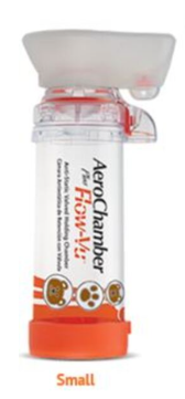 AeroChamber Plus* Flow-Vu* Anti-Static VHC with Small Mask for Infants (0-18 months)