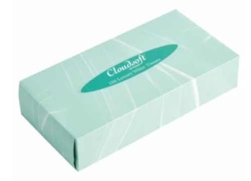 24 x Boxes Ultra Soft Luxurious 100 White Facial Family TISSUES 100 FIL 2PLY Tissue