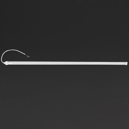 Polar LED Light