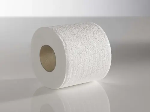 TOILET ROLLS 2 PLY 320 SHEET (36)