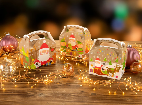MEAL BOXES XMAS THEMED (250)