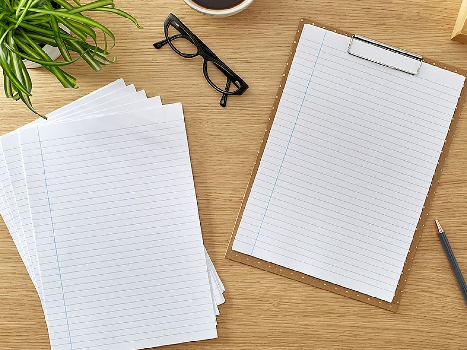 Rhino Exercise Paper