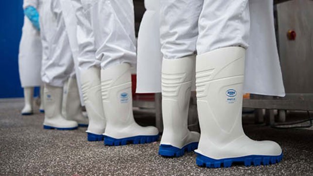 Food Processing Safety Wellingtons