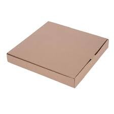 Fiesta green compostable plain pizza boxes
