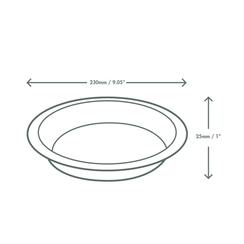PL09RO Dimensions