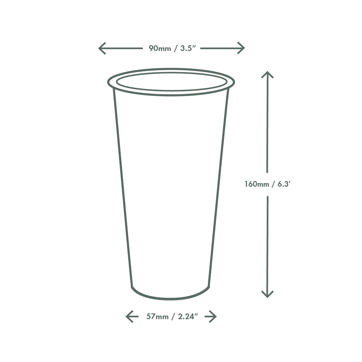 PINTP1 Dimensions