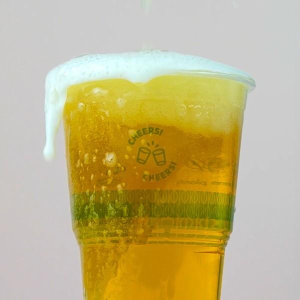 PINT1 1