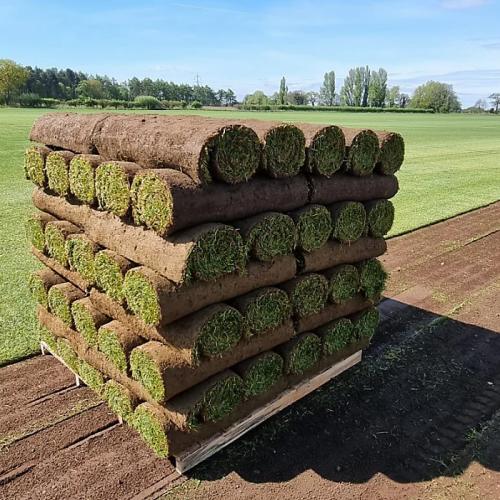 INTURF CLASSIC TURF - 30 M2 / 30 ROLLS