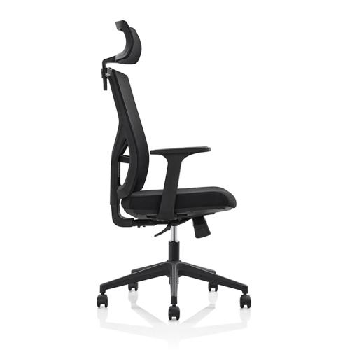 R119K
