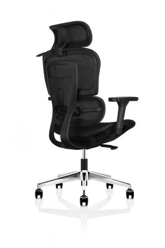 R527K