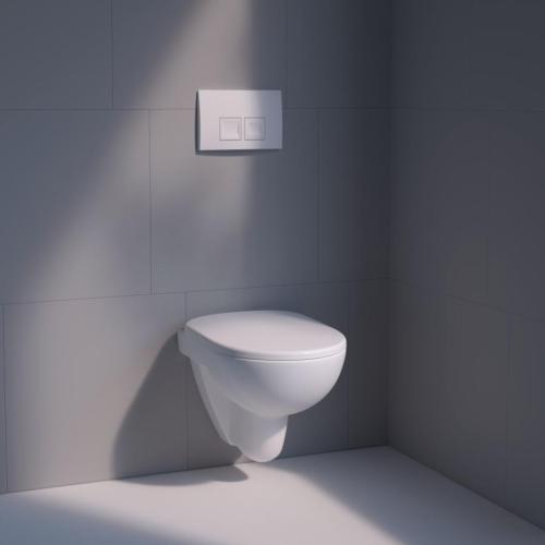Geberit Delta35 Dual Flush Plate Alpine White 115.135.11.5