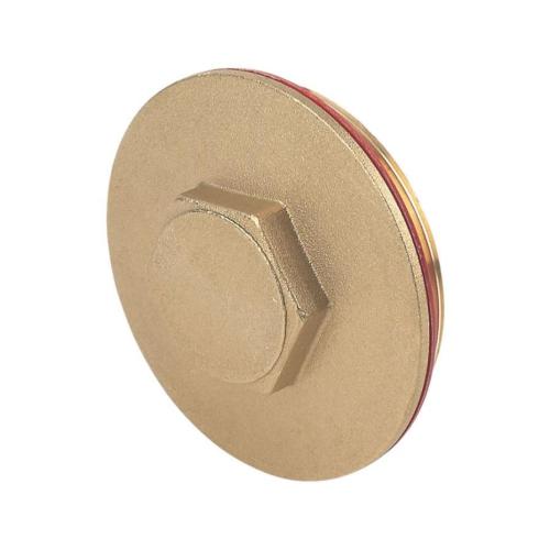 2-1/4" Brass Immersion Heater Plug & Washer