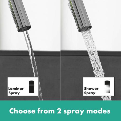 Hansgrohe Focus Kitchen Tap with Pull Out Spray and 150Â° Swivel Range
