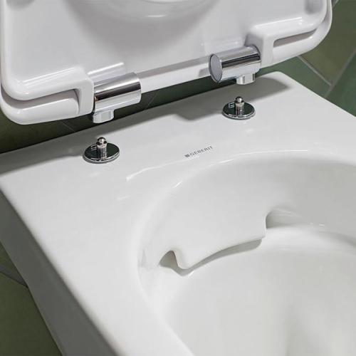 Geberit Selnova Premium Wall-hung WC Washdown Semi-shrouded Rimfree 501.750.00.1