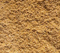Washed Plastering Sand