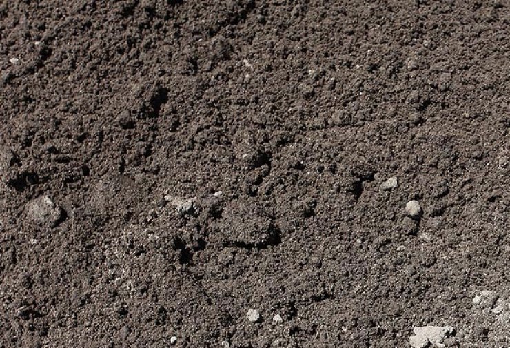 Top Soil