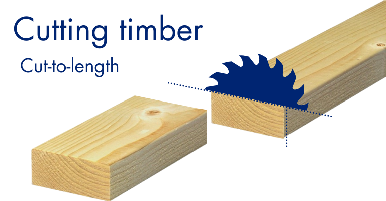 Timber Cutting