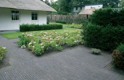 Pavestone Concrete Slimsett Paving 200 x 60 x 50mm Anthracite