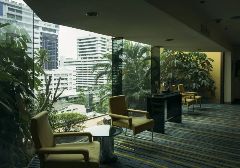 Why Office Plants Belong in Every Workspace