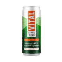 Vital Sparkling Vitamin Water - Peach (12x330ml)