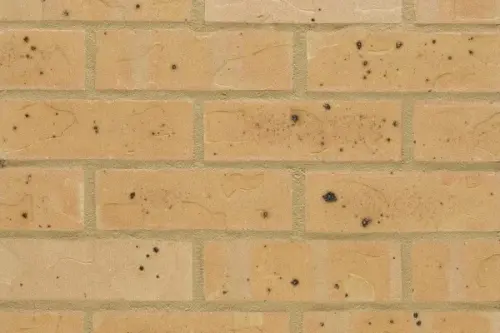 Wienerberger Chancery Yellow Multi Wirecut 65mm Facing Brick Pack of 504