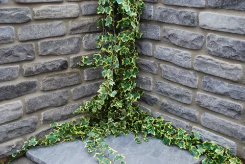 Global Stone Old Rectory Monsoon Walling 4.5m2 215 x 100