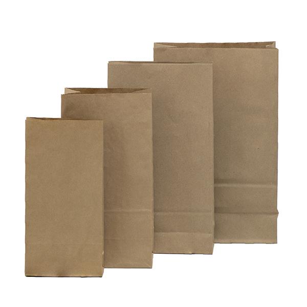 Brown Kraft Bag - Various Sizes