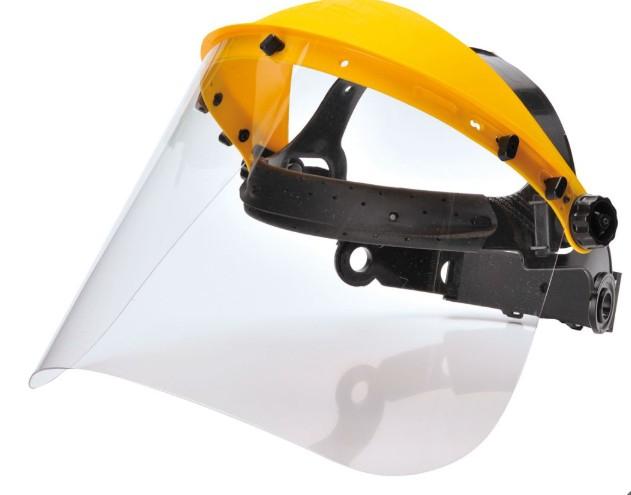 Browguard with Clear Visor Clear