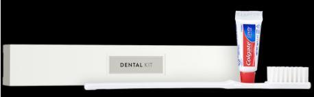 x100 DENTAL KIT WHITE CARTON BRUSH+