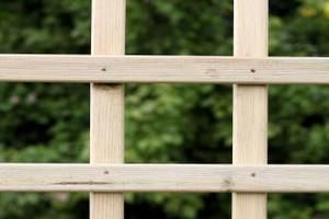 Square Trellis Fence Panel Treated Softwood