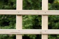 6ftx1ft Square Trellis Fence Panel Treated Softwood (TRELLISSQR)