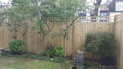 6ftx4ft TGV Fence Panel Treated Softwood (FPANELTGV)