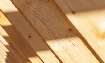 Carcassing Home Page Link