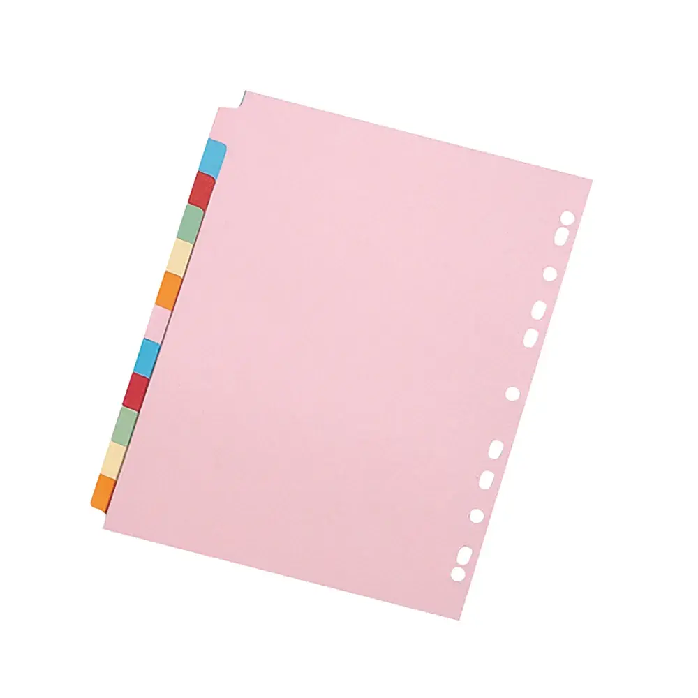 Divider A4 12 Part Coloured Board