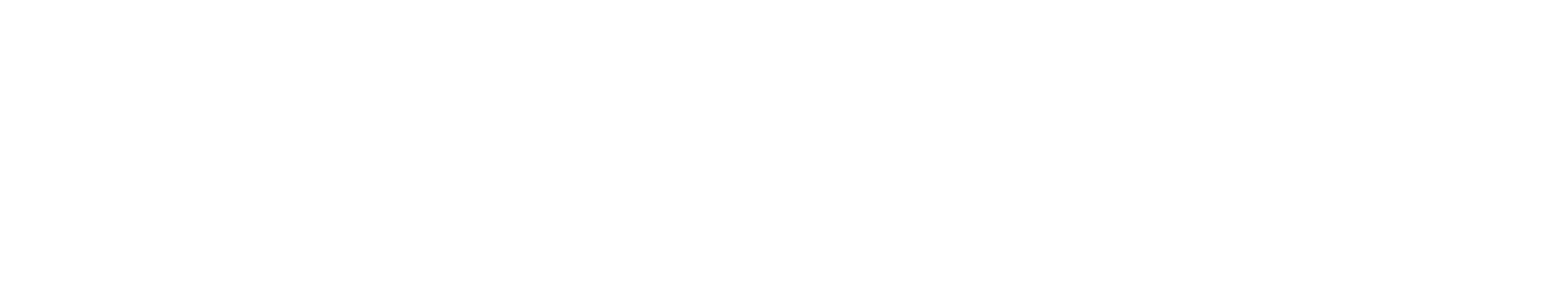 Paragon Business Essentials - Ireland