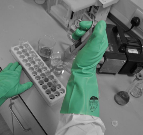 Industrial Nitrile Gloves Green Size 8 144 Pairs – Gloves - Industrial | Polyco Healthline | Buywise Group | Workplace Supplies, Office Furniture & Workwear