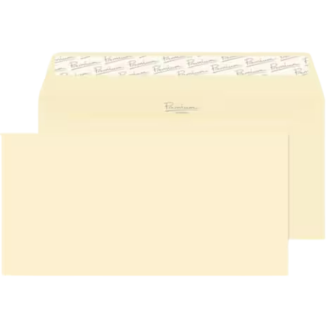 Blake Business Cream Wove DL 110 x 220 mm 120 gsm (61882) - Pack of 500