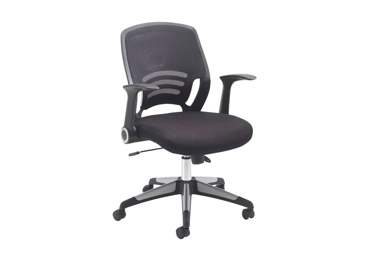 Carbon Ergonomic Mesh Back Office Chair