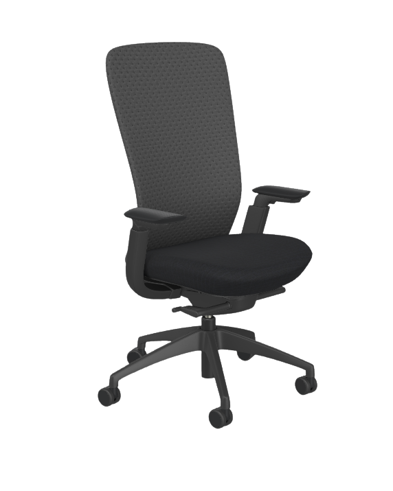 ILY Ergonomic Office Chair