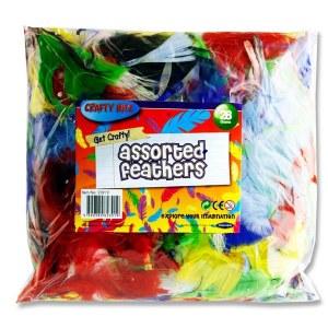 28g Bag Assorted Feathers