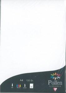 A4 Iridescent White 120gsm