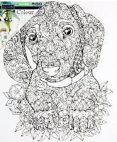Colour My Canvas- Doggy