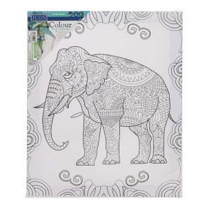 Colour My Canvas - Elephant