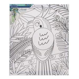 Colour My Canvas - Parrot