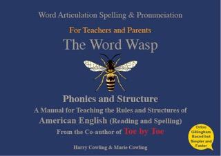 Word Wasp Phonics & Structure
