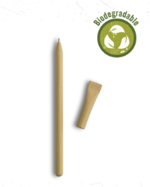 Paper Pen (Pack of 10)