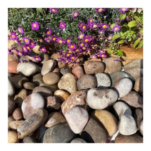 Beach Cobbles 50/80mm - Trade *** Non Returnable Item ***